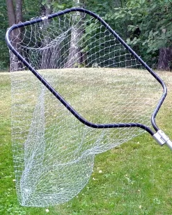 Dida 167 -monofiilihavas Vonkale