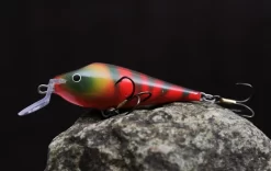 JAN65 -vaappu, Väri:Raitakomunisti, 18