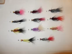 Eräkontio Volfram Leech -heittoperho