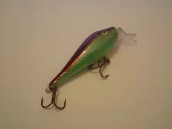 Eräkontio Kojamo -lohivaappu 15.