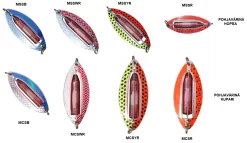 Wiggler Muskus 81mm -rautupilkki