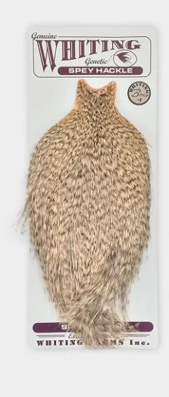 WHITING SPEY CAPE BRONZE GRADE