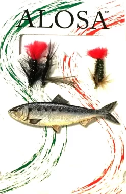 Dida Wet Fly -perholitka